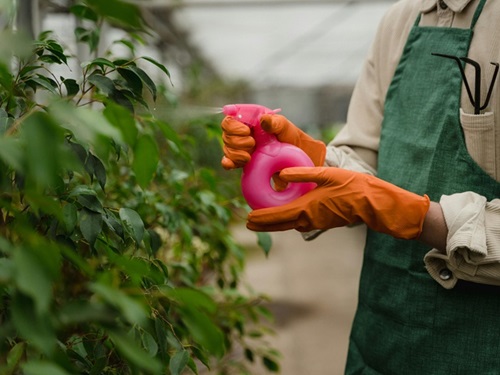 γ-terpinén: Všestranný medziprodukt organickej syntézy